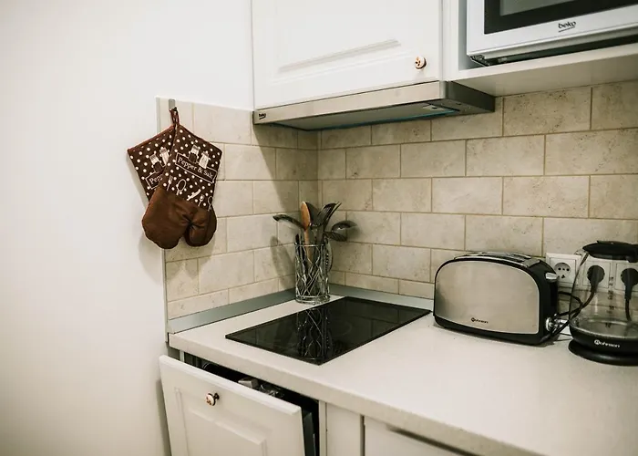 Apartment Brassai Square Brasov