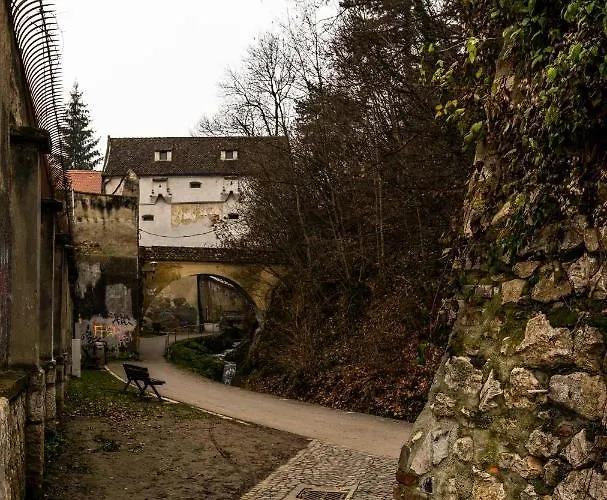 Apartment Brassai Square Brasov